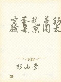 完蛋我养的小白脸是京圈太子爷短剧