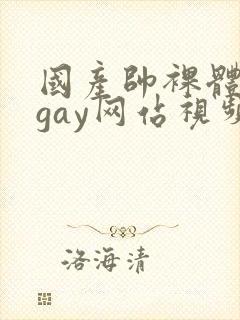 国产帅裸体男模gay网站视频