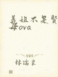 义姐不是贤妻良母ova封面