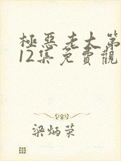 极恶老大第二季12集免费观看