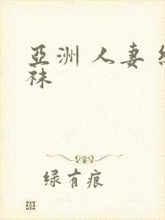 亚洲 人妻 丝袜