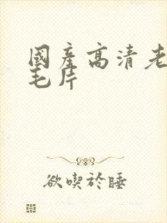 国产高清老女人毛片