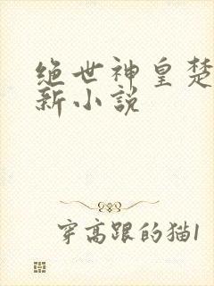 绝世神皇楚风最新小说