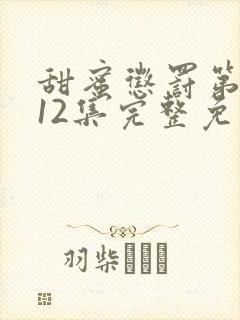 甜蜜惩罚第一季12集完整免费观看封面