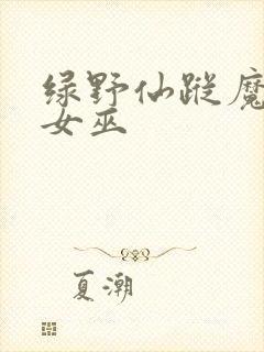 绿野仙踪魔法坏女巫封面