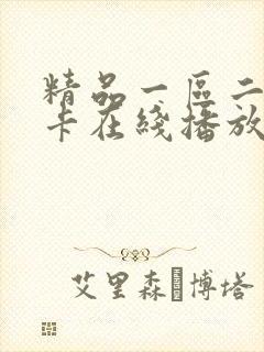 精品一区二区不卡在线播放