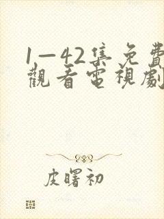 1—42集免费观看电视剧无间封面