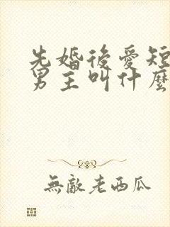 先婚后爱短剧的男主叫什么