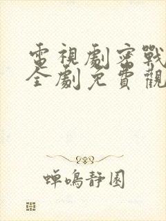 电视剧密战无声全剧免费观看