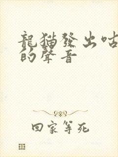 龙猫发出咕咕咕的声音