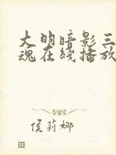大明暗影三百忠魂在线播放