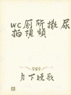 wc厕所撒尿偷拍视频