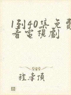 1到40集免费看电视剧