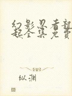 幻影忍者龙之崛起全集免费观看封面