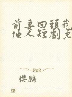 前妻回头我已娶他人短剧免费观看封面