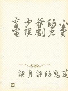 盲少爷的小女仆电视剧免费观看全集