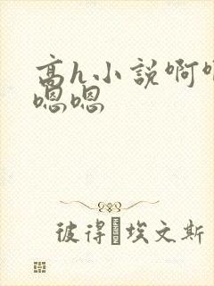 高h小说啊啊啊嗯嗯