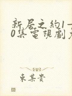 新居之约1—40集电视剧免费观看