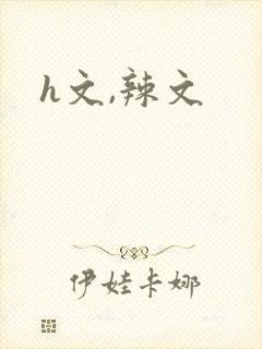 h文,辣文封面