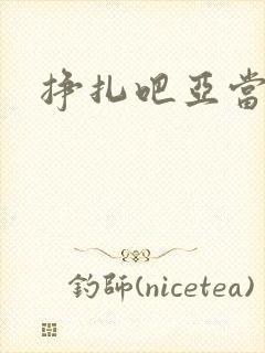 挣扎吧亚当军君