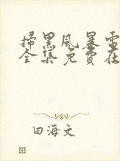 扫黑风暴电视剧全集免费在线观看封面