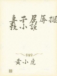 妻子屈辱捆绑调教小说封面