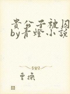 贵公子被囚为奴by青灯小说免费阅读