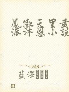 凤傲天里黄毛反派沐恩小说