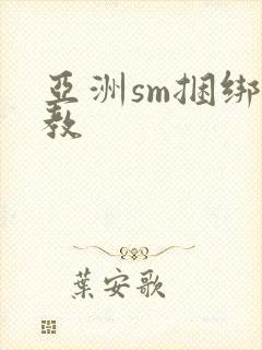 亚洲sm捆绑调教