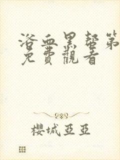 浴血黑帮第五季免费观看