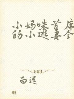 小妈咪首席总裁的小逃妻全文免费阅读封面
