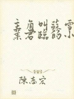 主角叫苏雪儿和叶君临的小说
