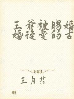 王爷被赐婚的先婚后爱的古言小说