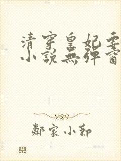 清穿皇妃要娇养小说无弹窗