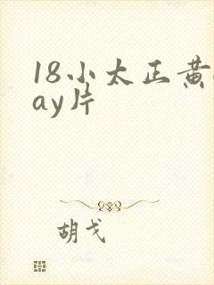 18小太正黄gay片