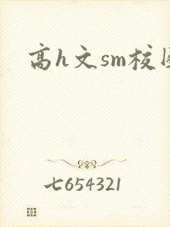 高h文sm校园