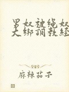 男奴被绳奴五花大绑调教经历
