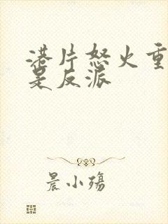 港片怒火重案我是反派