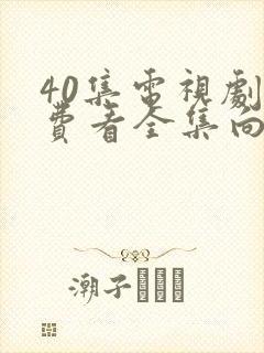 40集电视剧免费看全集向风封面