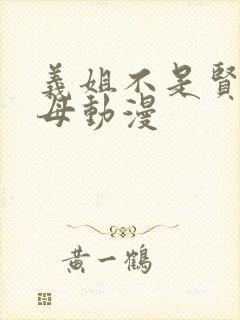 义姐不是贤妻良母动漫封面