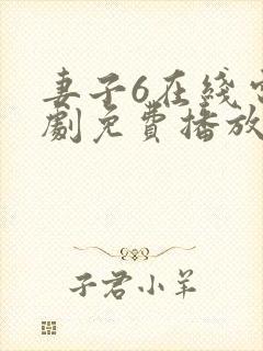 妻子6在线电视剧免费播放