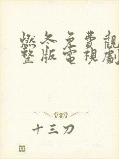 燃冬免费观看完整版电视剧全集