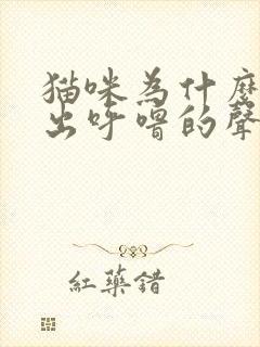 猫咪为什么会发出呼噜的声音