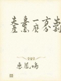 夫妻一方出轨财产怎么分割