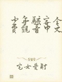 少年骇客全集免费观看中文版