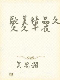欧美精品久久久久久午夜