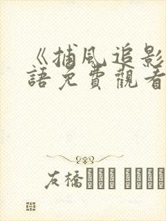 《捕风追影》国语免费观看高清在线