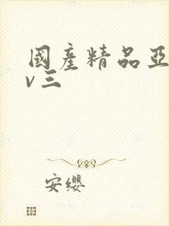 国产精品亚洲av三