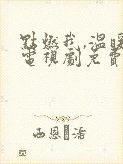 点燃我,温暖你电视剧免费观看2023