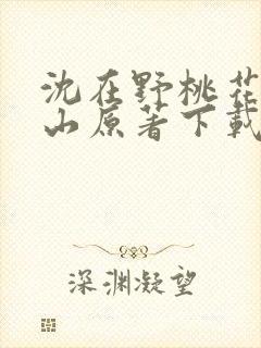 沈在野桃花映江山原著下载
